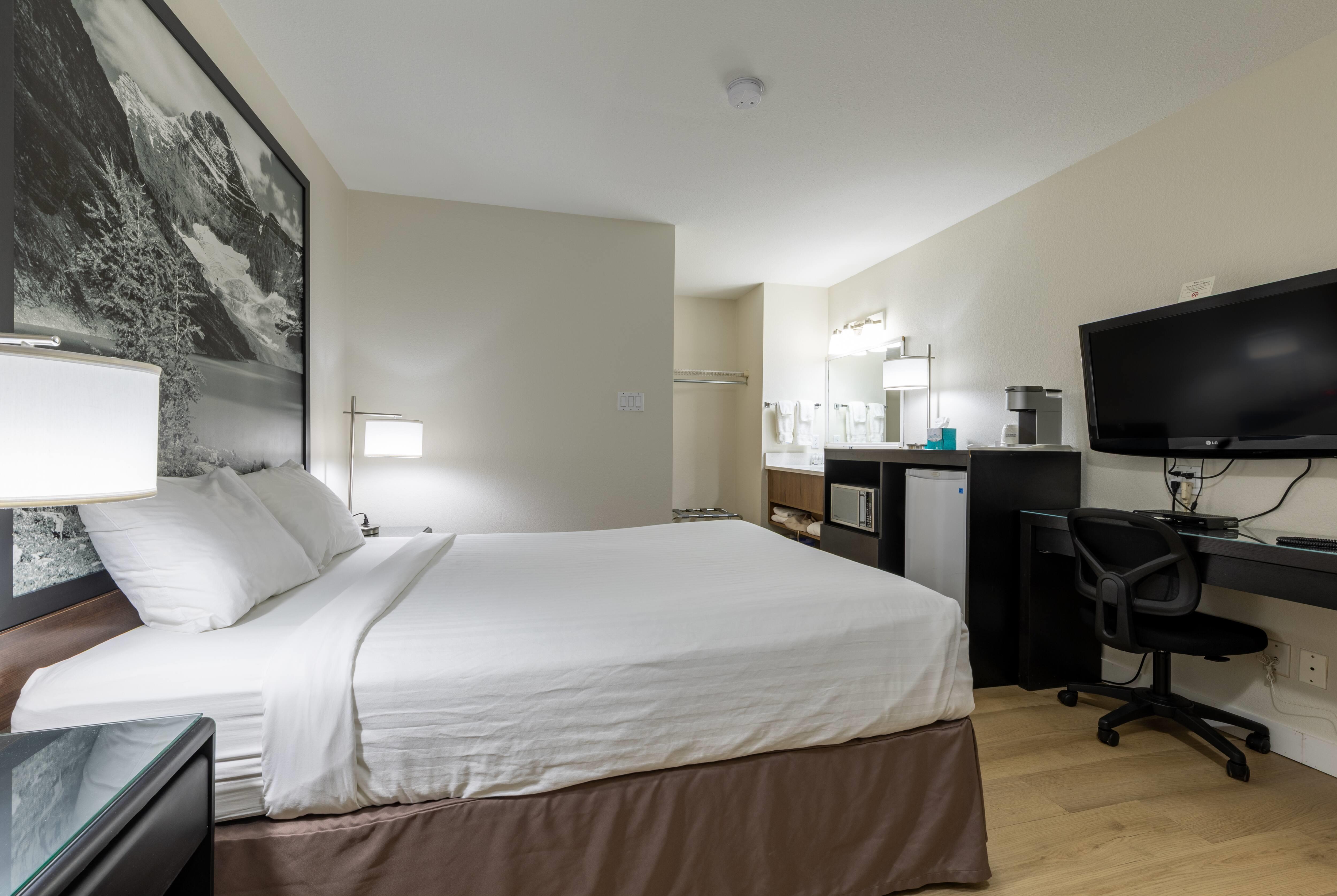 1 Bedroom, Suite, Apartment, Queen Bed