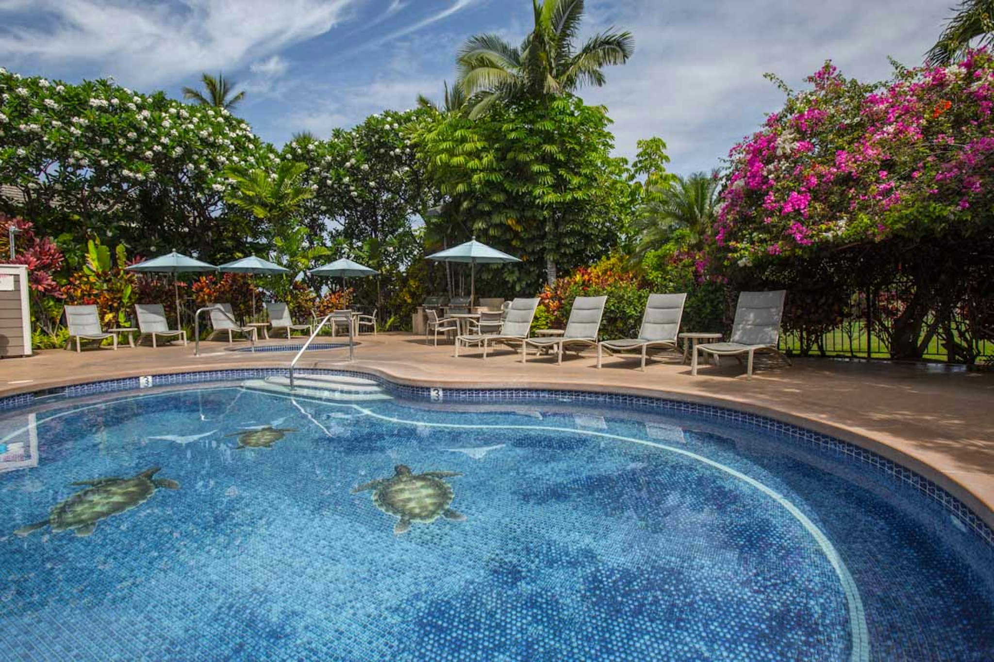 Wailea Grand Champions a Destination Residence 53/54
