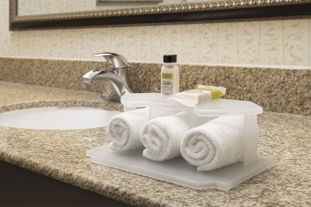 Holiday Inn Express Hotel Suites Uvalde 19/55