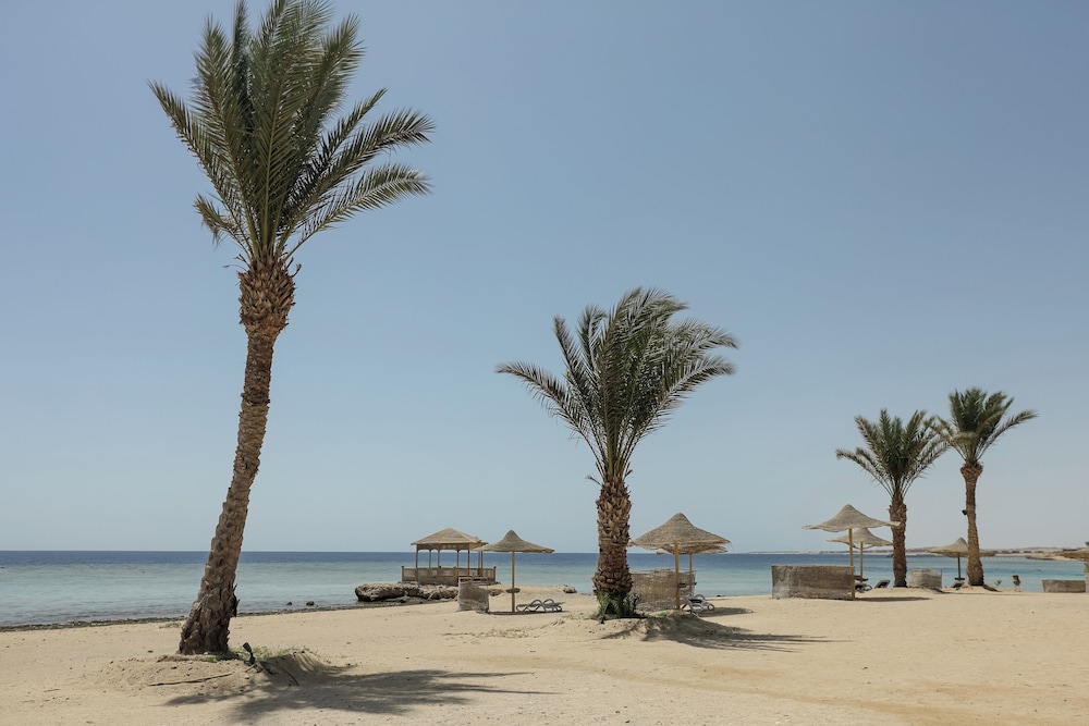 Shoni Bay 44/50