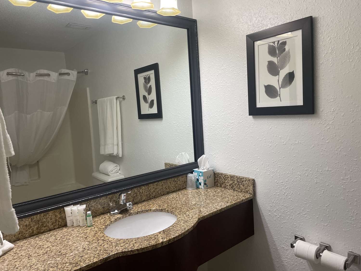 غرفة بسرير كينج، Best Western Harmony Inn Fort Dodge Iowa 6/6