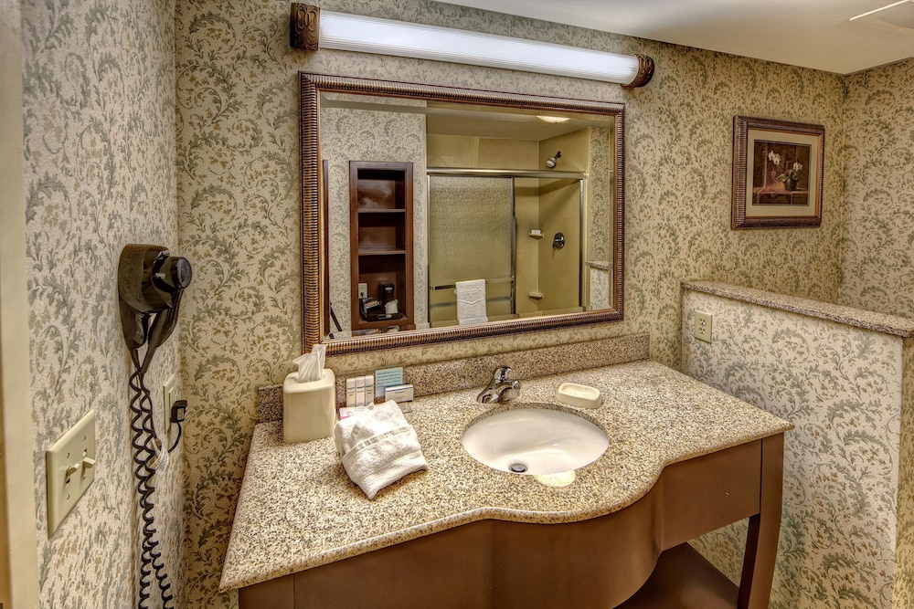 Hampton Inn Manning 20/37