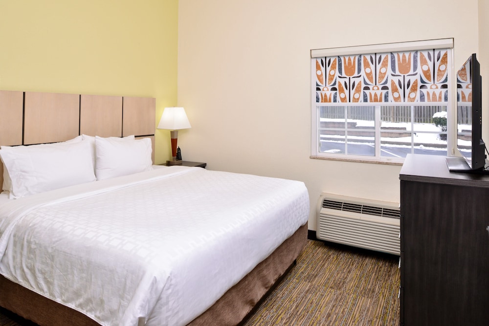 1 Bedroom, Studio, Suite, King Bed, Sofa