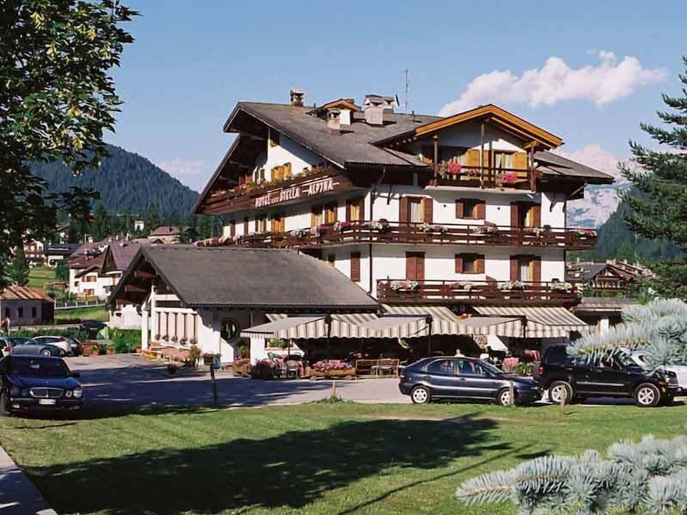 Hotel Stella Alpina 3/39