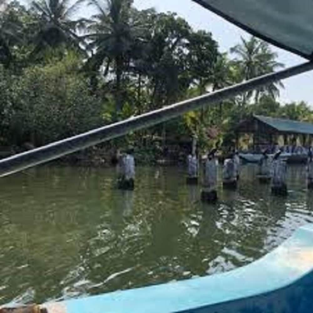 Vero Homestay 20/50