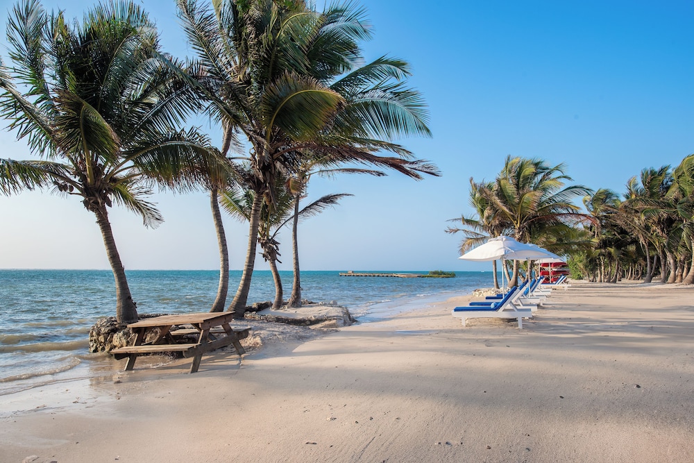 Margaritaville Beach Resort Ambergris Caye 34/50