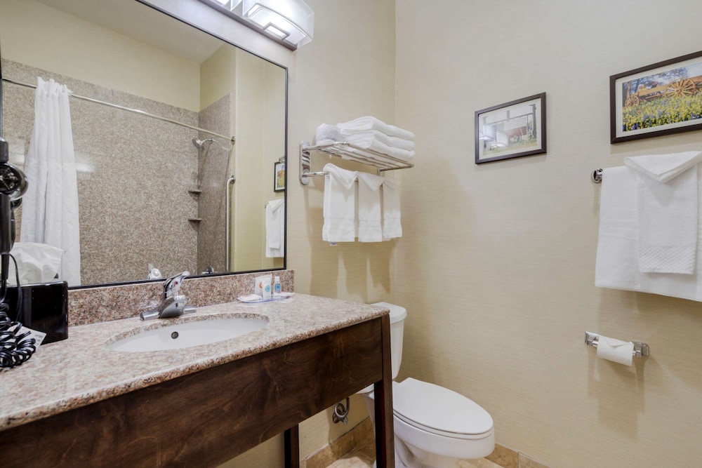 Comfort Suites Pflugerville - Austin North 20/45