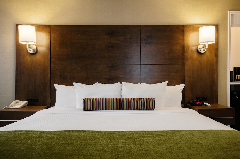 Best Western Ville Marie Montreal Hotel and Suites 13/45