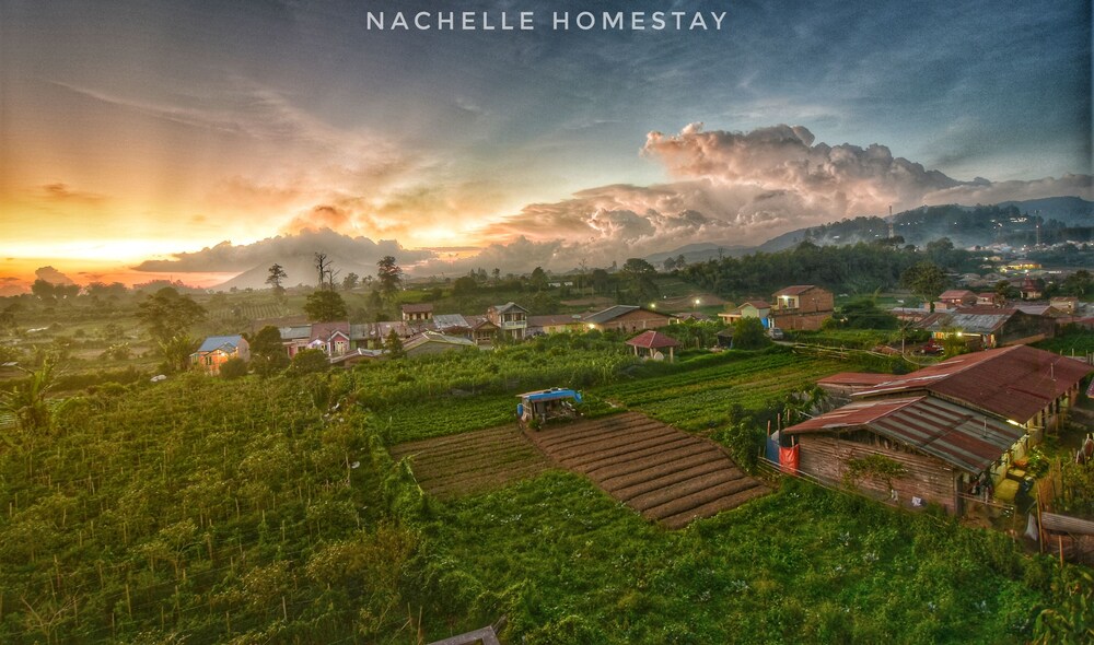 Berastagi Nachelle Homestay 31/50