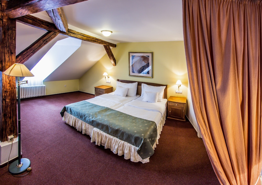 Hotel Dvorak 17/50