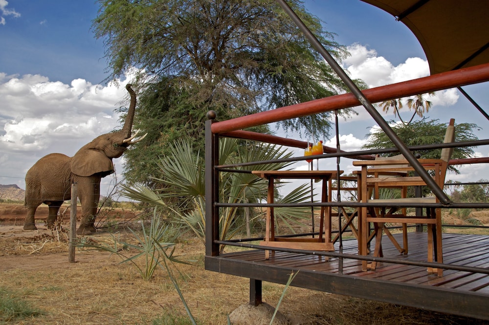 Ashnil Samburu Camp 11/50