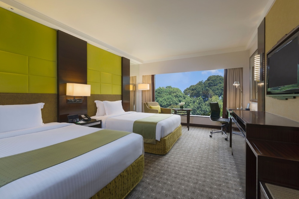 Holiday Inn Singapore Orchard City Centre 13/73