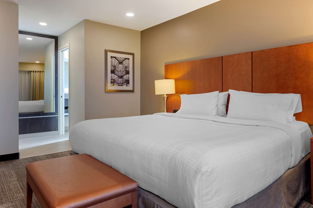Executive, Suite, King Bed, Sofa
