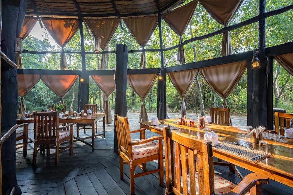 TREE HOUSE HIDEAWAY 27/50