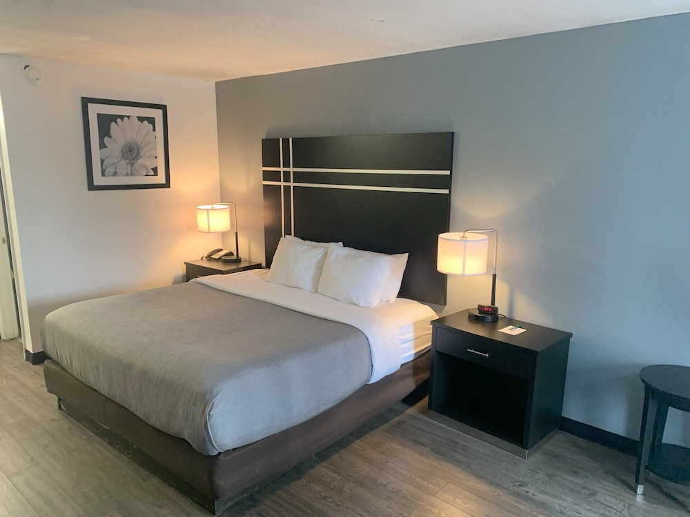 Room, King Bed, Accessible