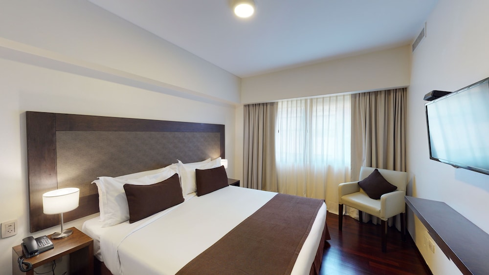 Park Royal Buenos Aires managed by Accor 17/65