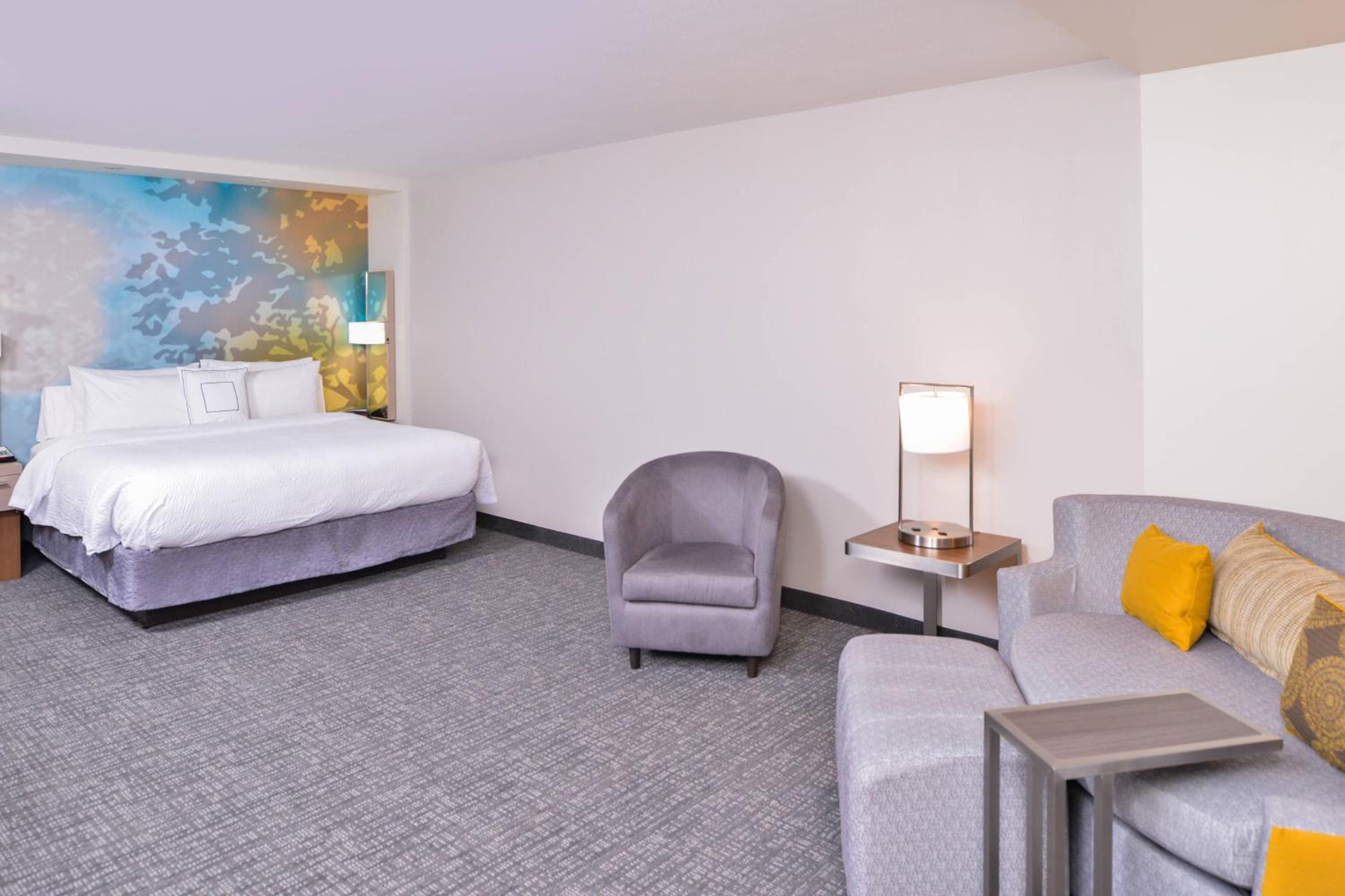 Room, King Bed, Large