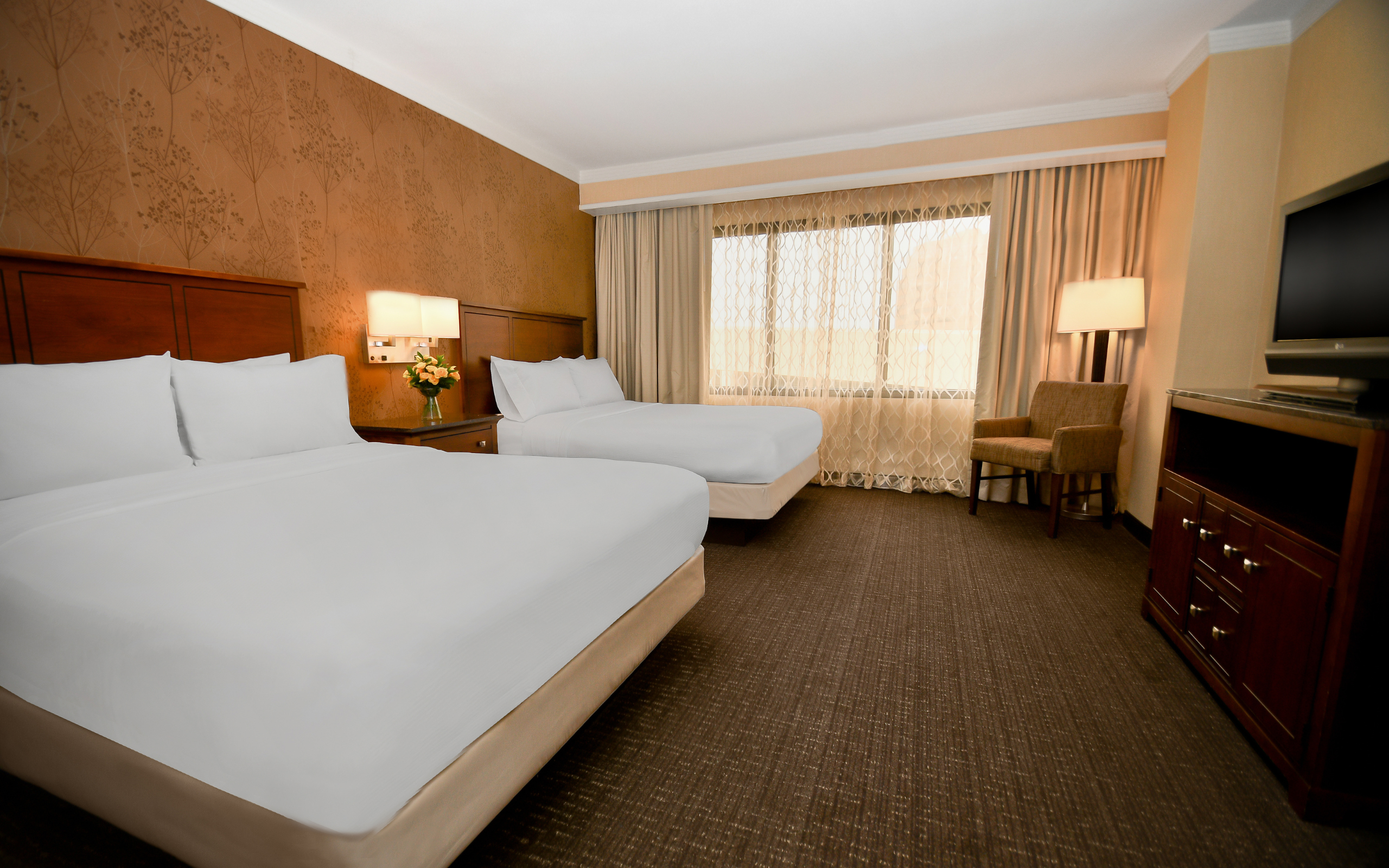 Suite, Queen Bed, Accessible