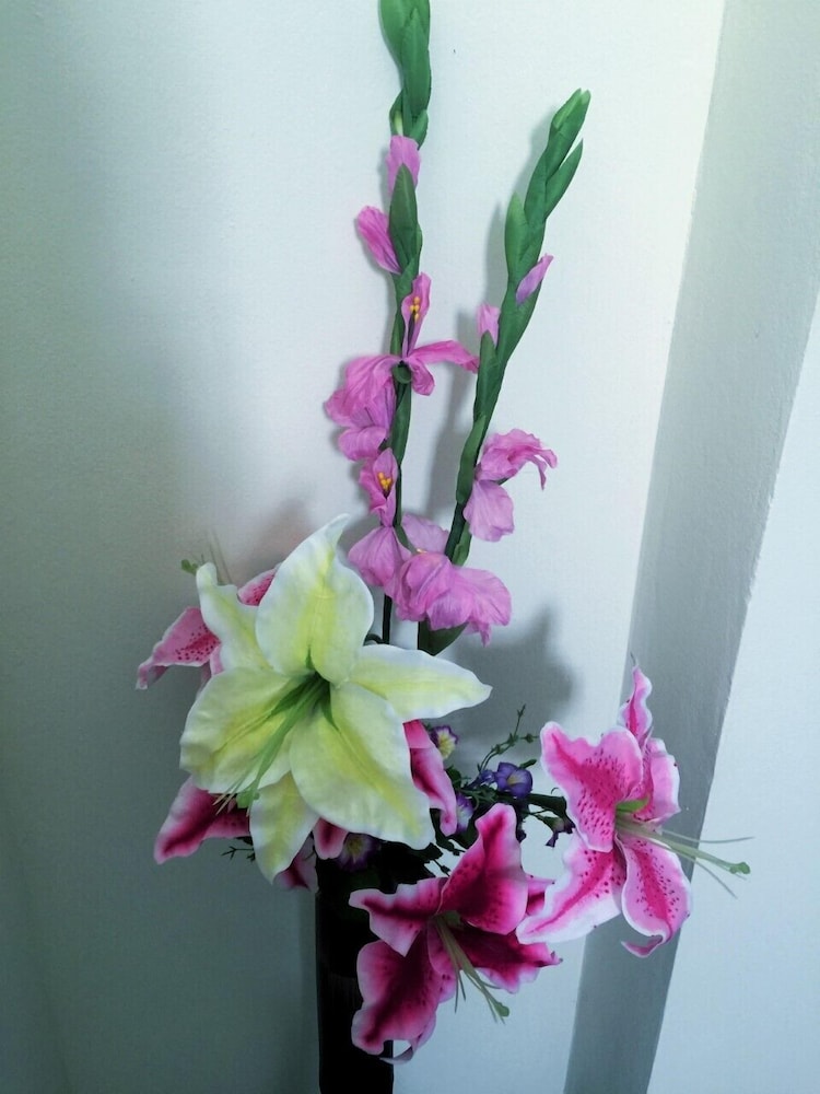 Thani Residence 13/24