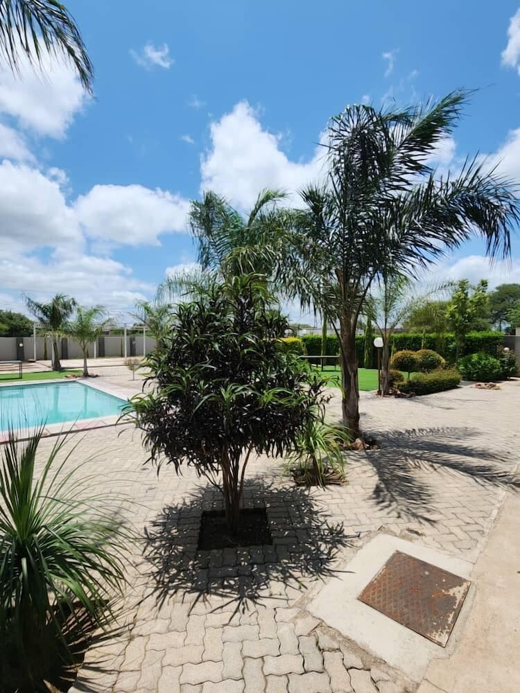 Cycad Palm Hotel 44/50