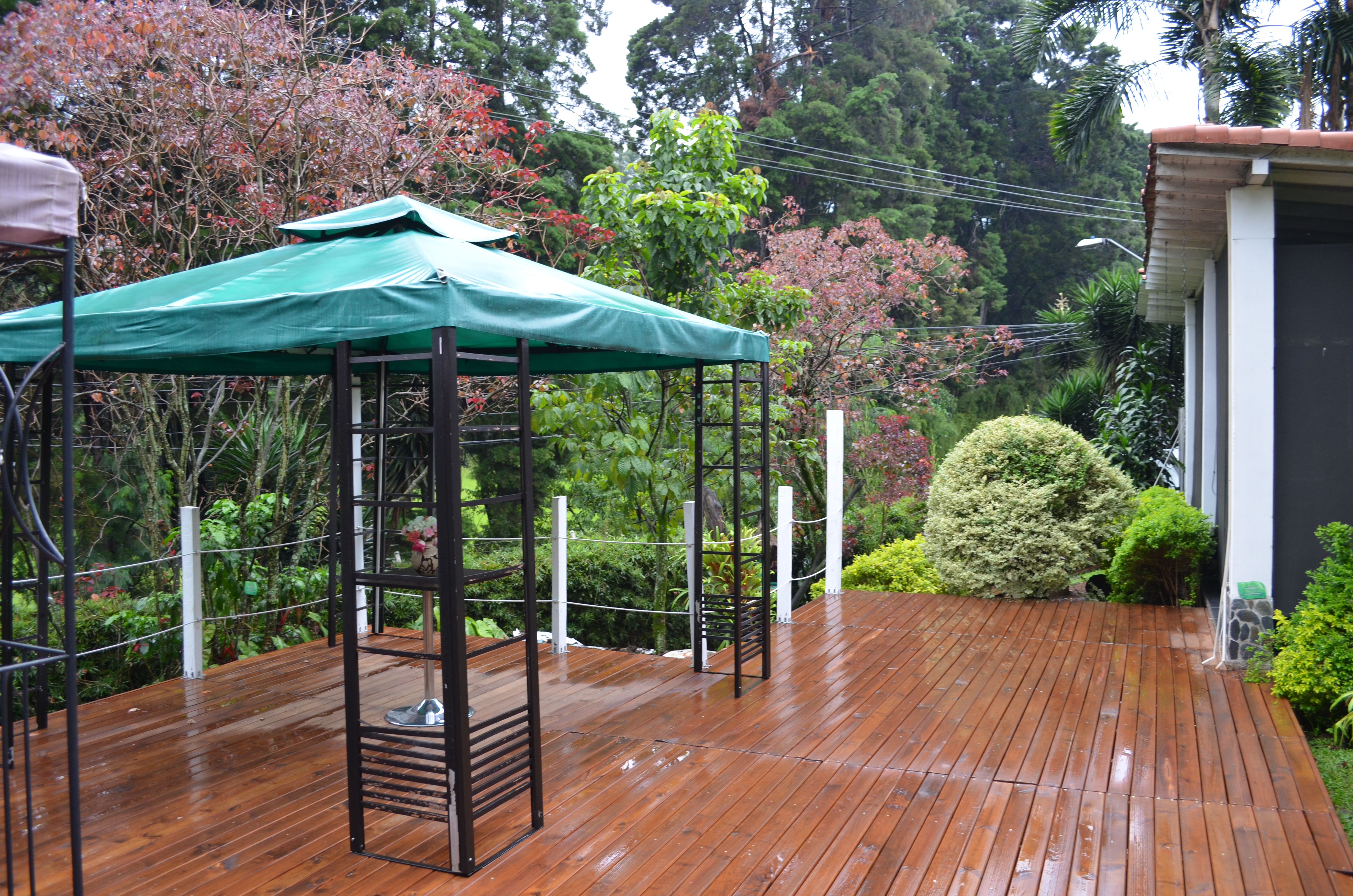 Ayenda 1229 Aromax Del Campestre 17/25