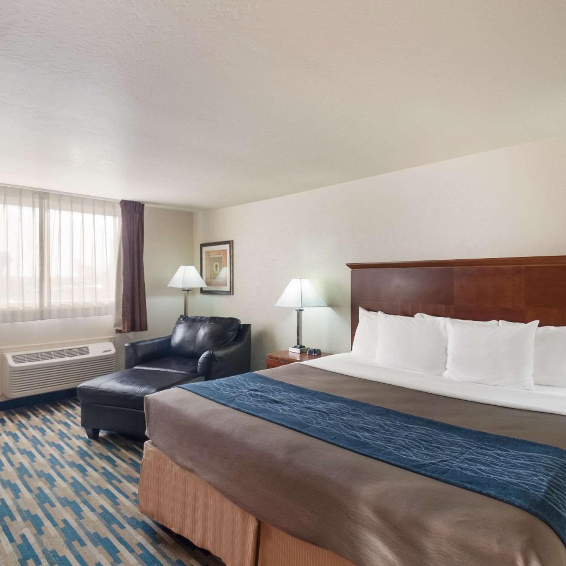 Superior, Suite, King Bed