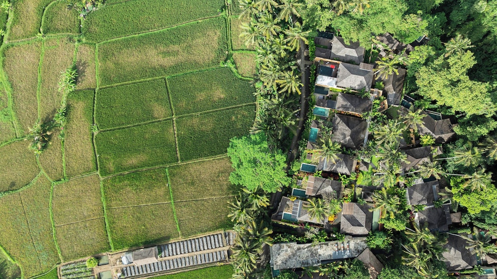 Temuku Villas Ubud 31/50