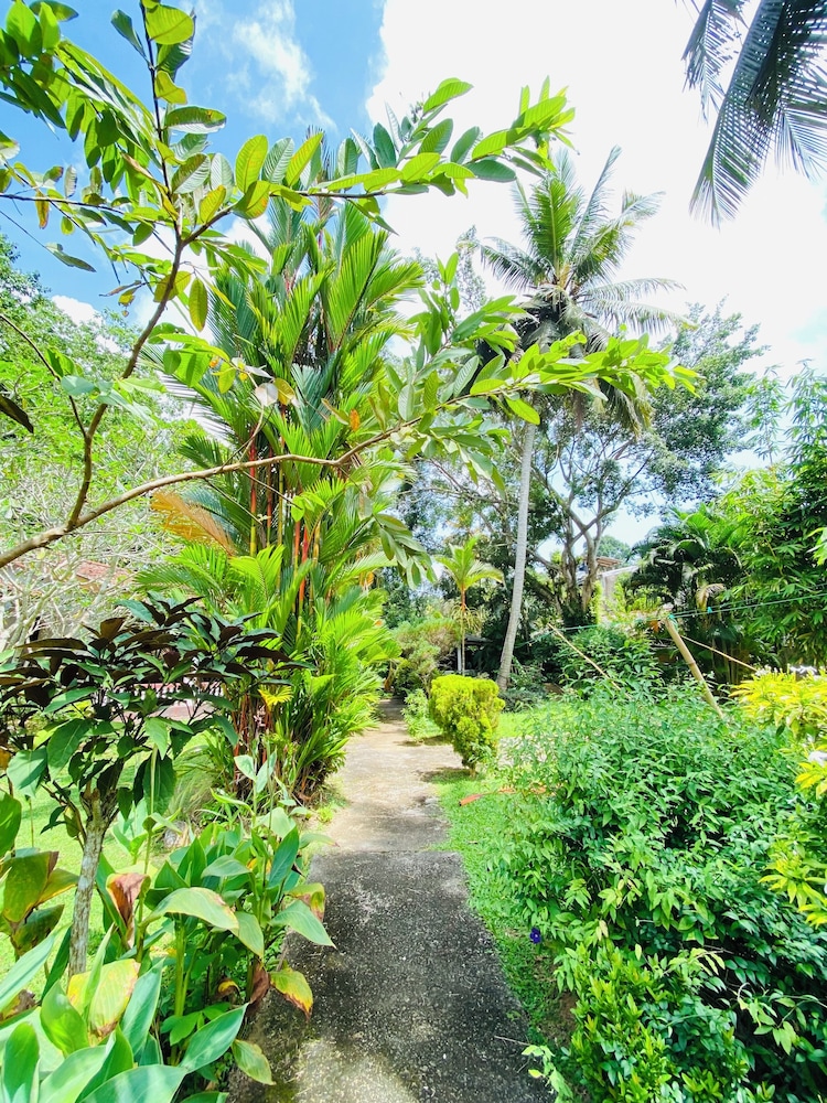 Leijay Resort 32/50
