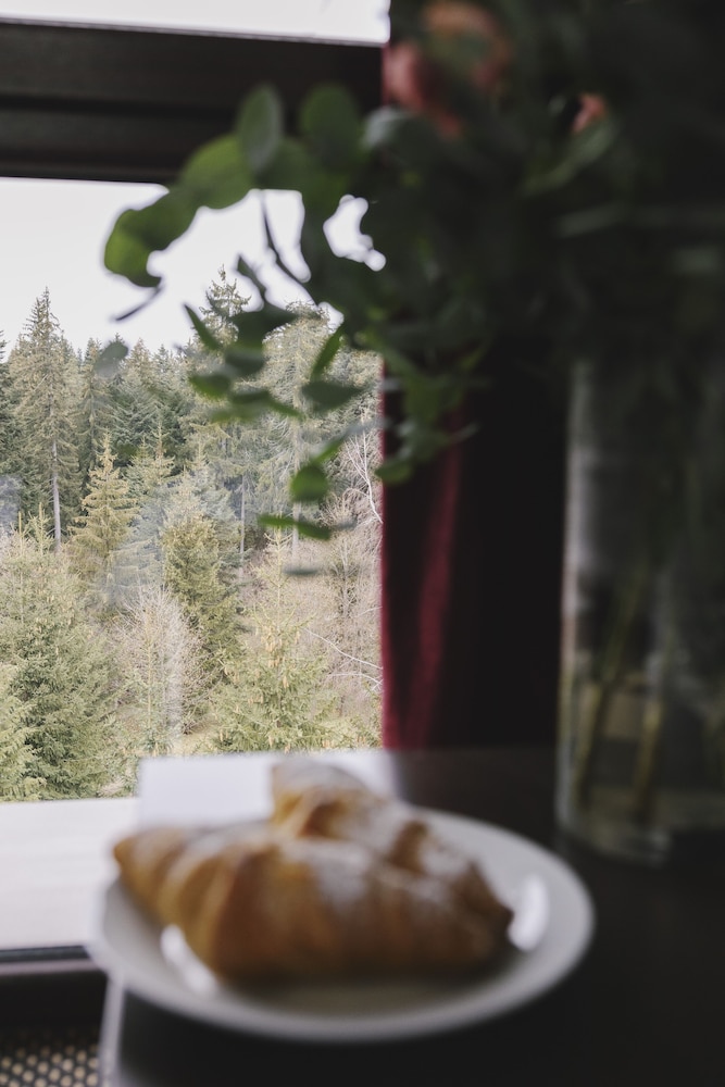 Borovets Green Hotel 21/47