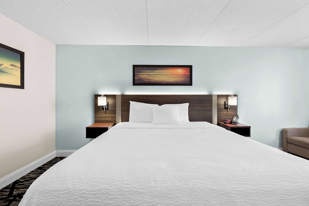 Efficiency, Suite, King Bed, Sofa