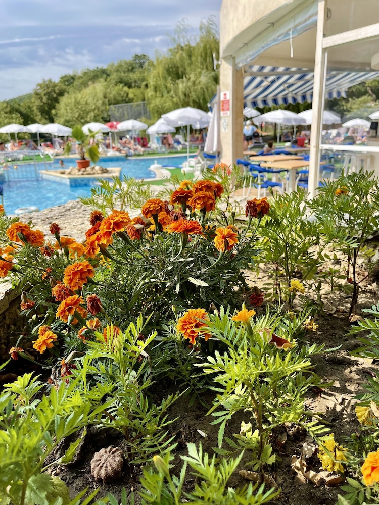 BSA Holiday park Hotel 40/49