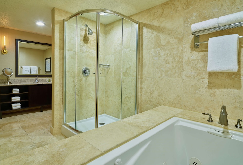 DoubleTree by Hilton Houston Intercontinental Airport 17/54