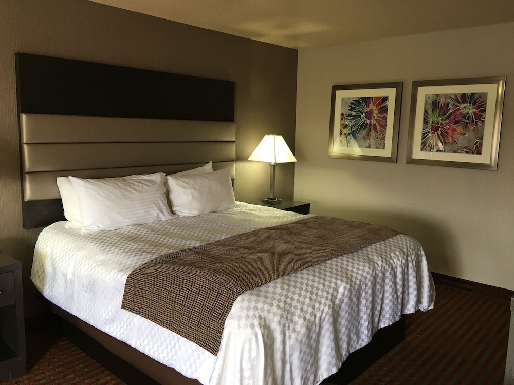 Best Western Deming Southwest Inn 28/45