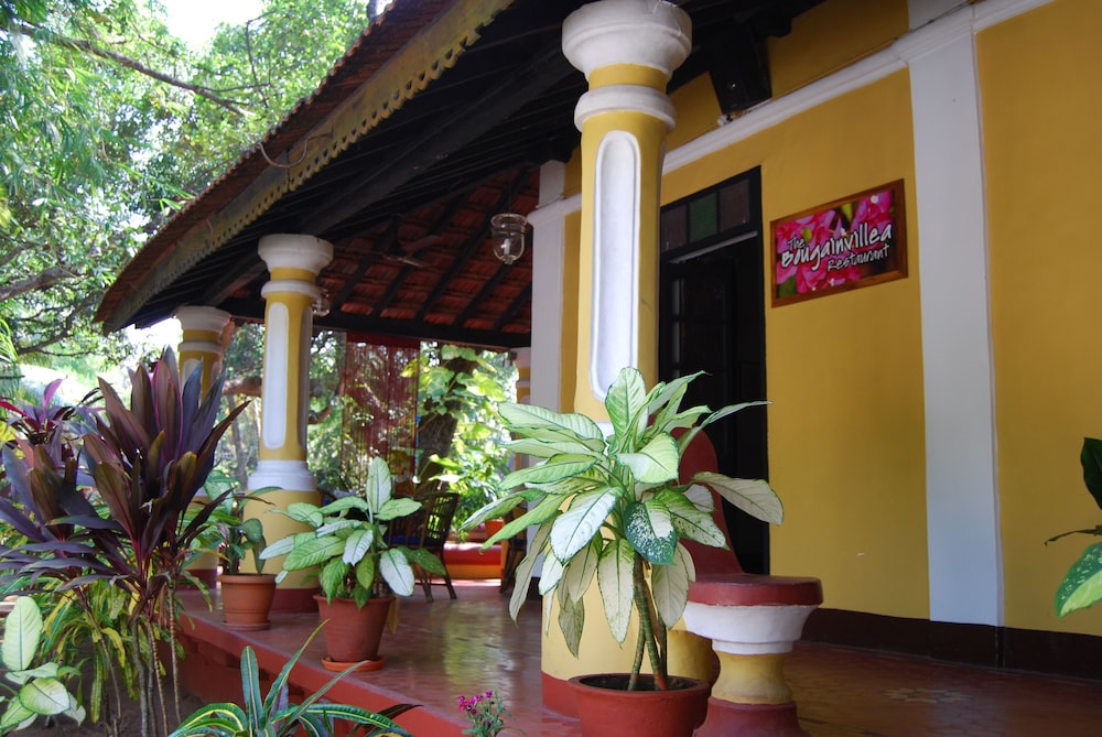 Granpas Inn Bougainvillea 35/50