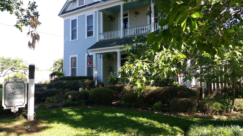 Fig Tree Manor 41/45