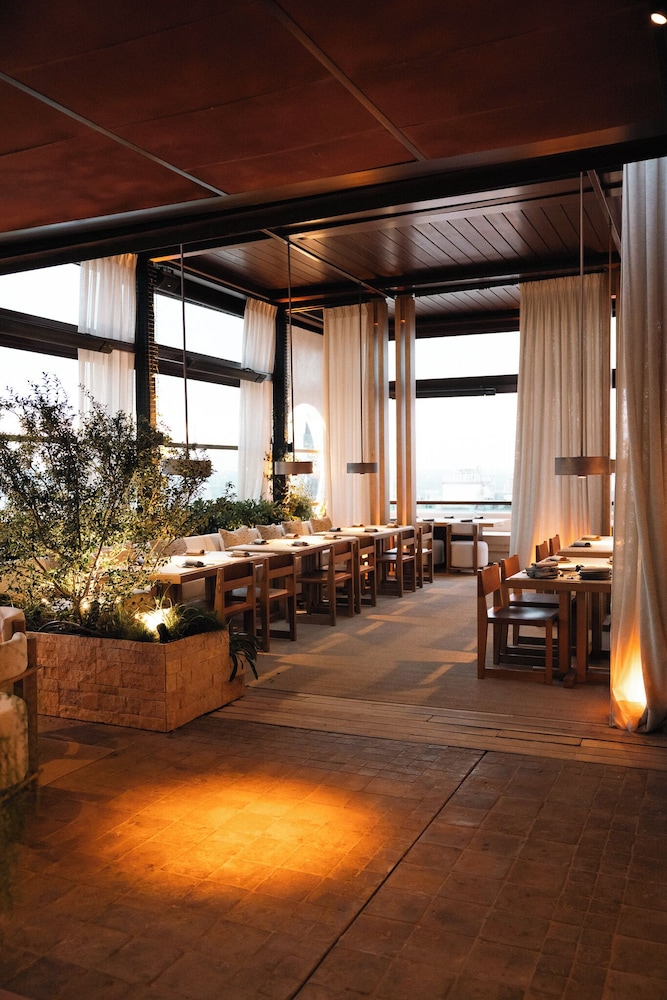 Hyatt Thompson Madrid 25/50