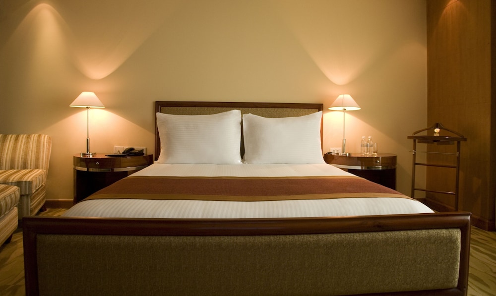 The Grand New Delhi 16/50