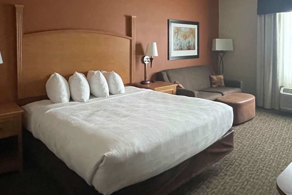 جناح بسرير كينج مع أريكة، MainStay Suites Sidney - Medical Center 2/5