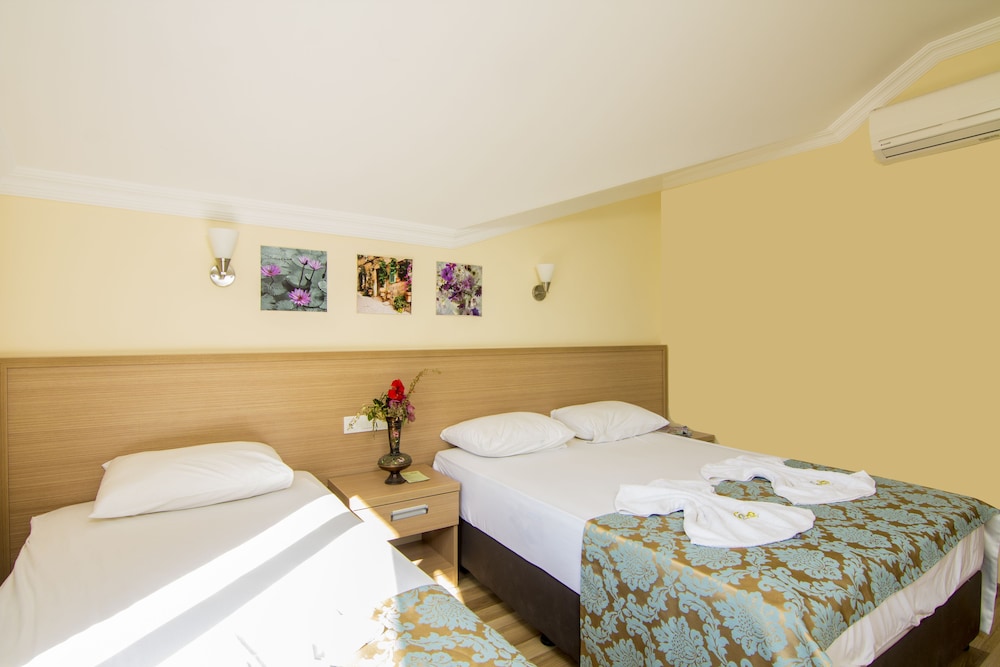 Magic Tulip Hotel 15/45