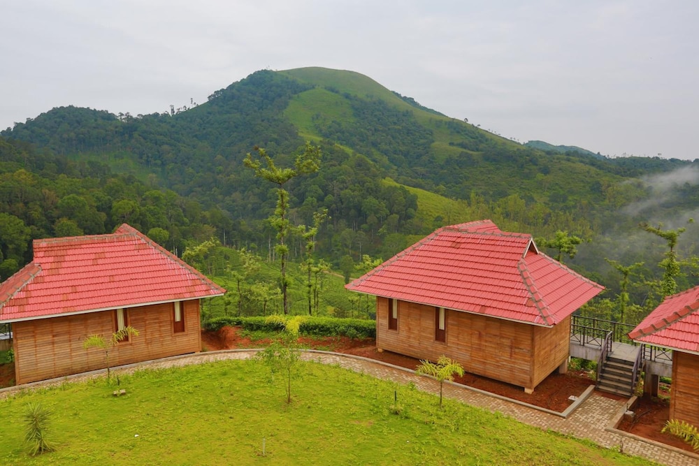 Wild Planet Jungle Resort 43/50