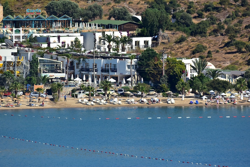Tropicana Beach Apartments 19/38