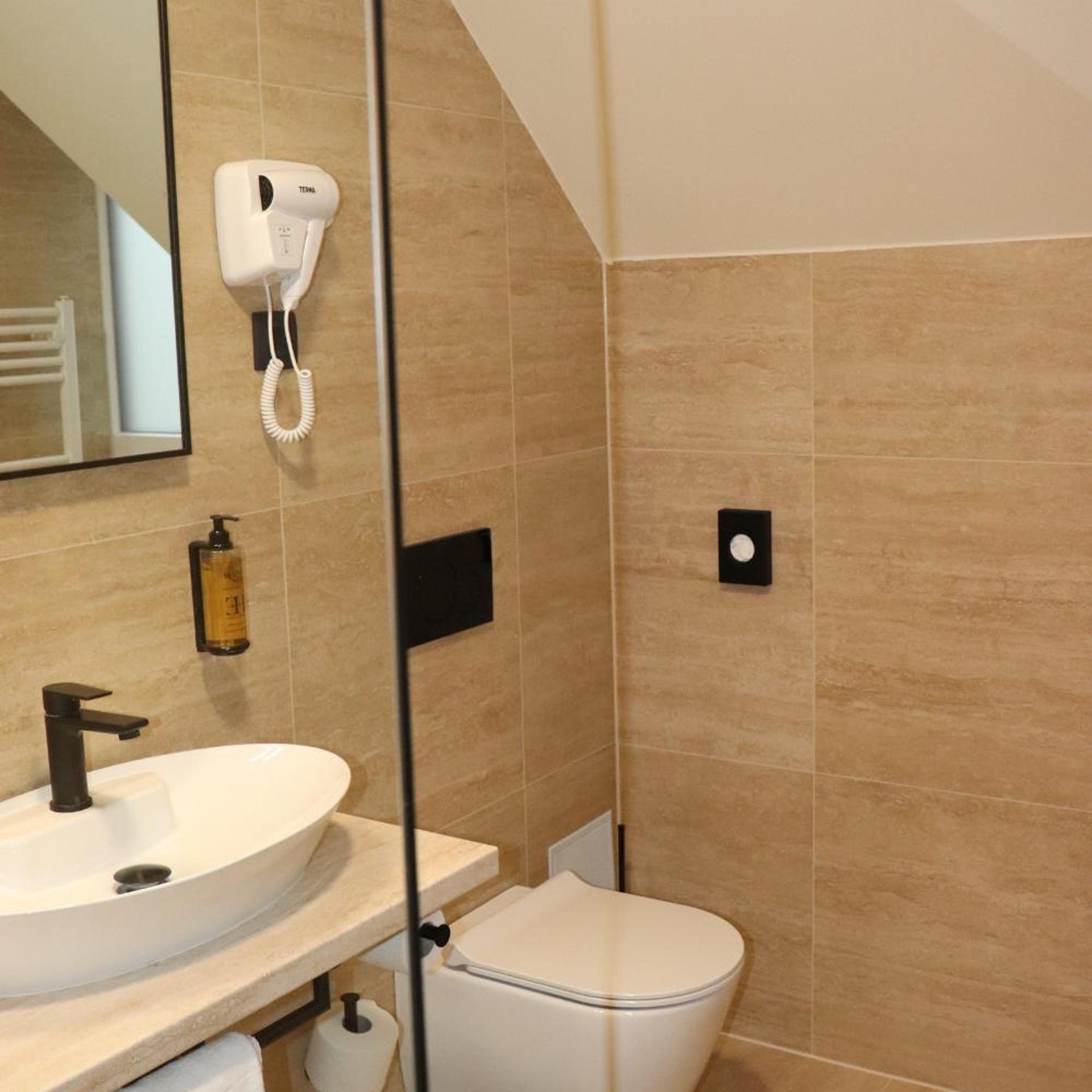 Room, Double Bed, Attic، Hotel Evropa Celje 9/9