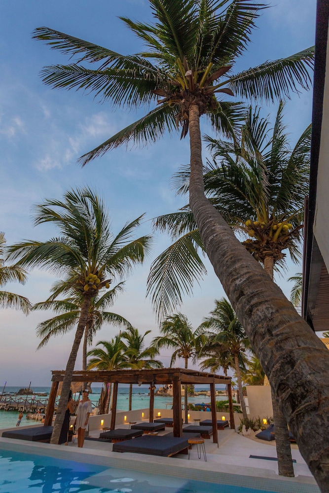 Lotus Beach Hotel 44/49