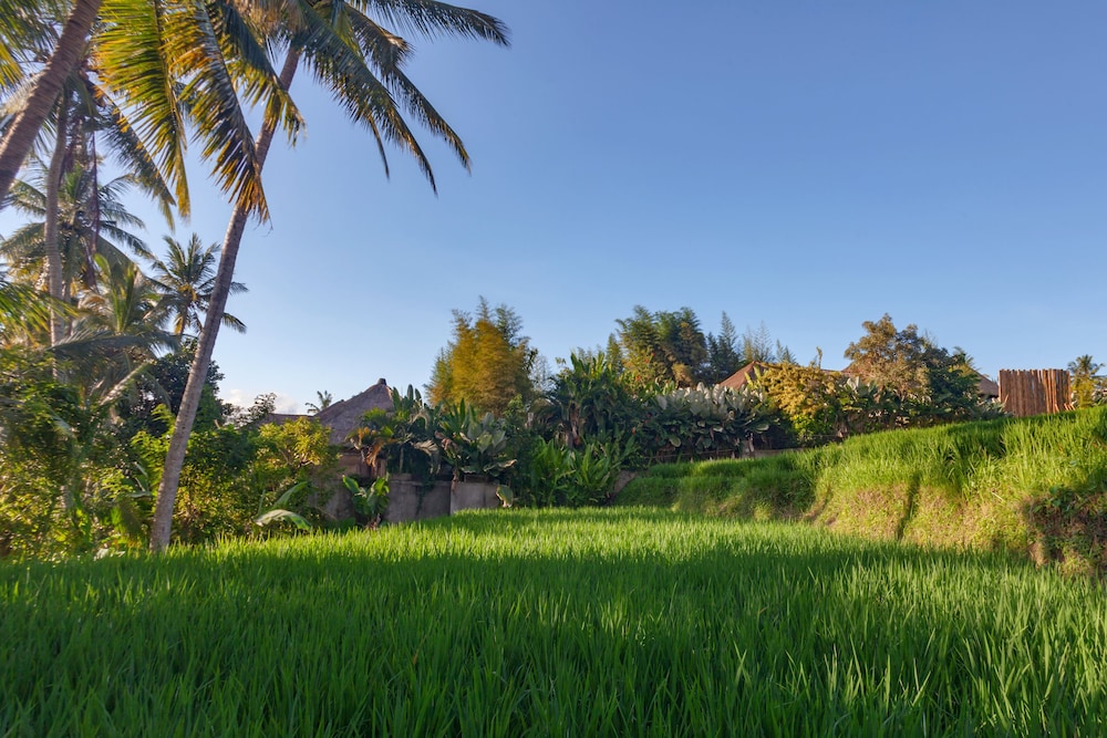 Anusara Luxury Villas - Adults Only 57/65