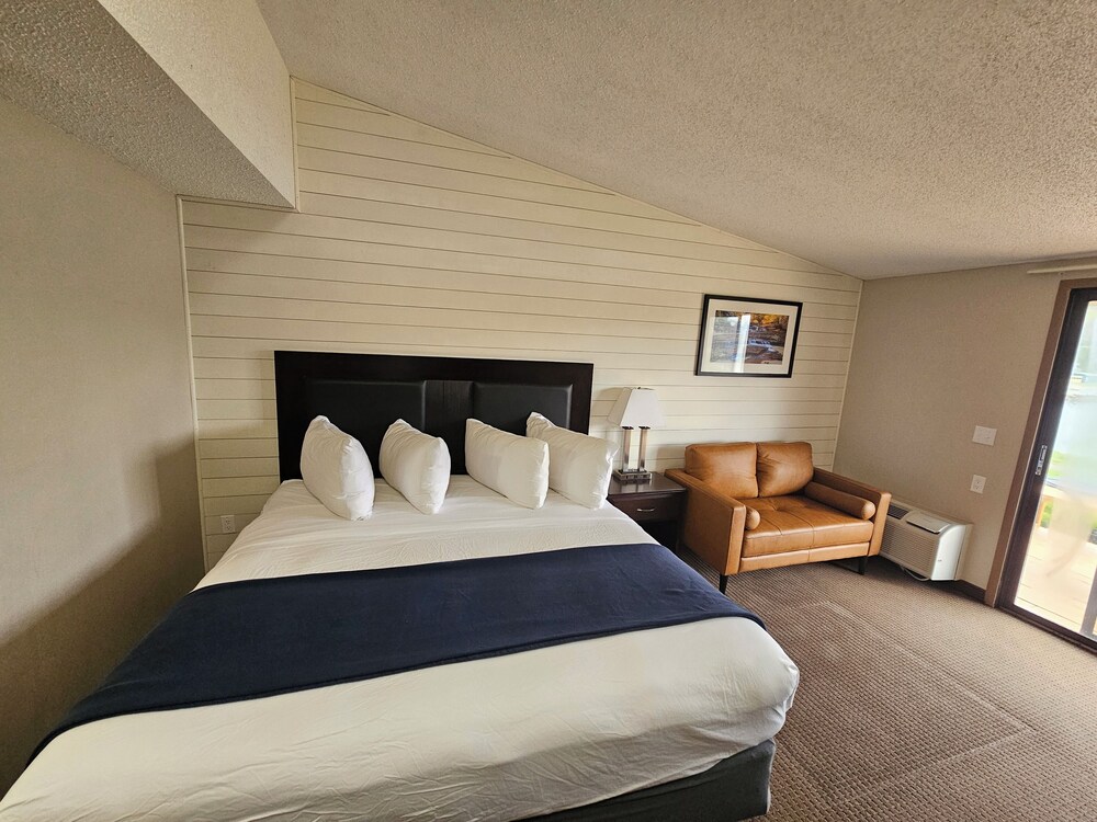 Basic, Single, King Bed