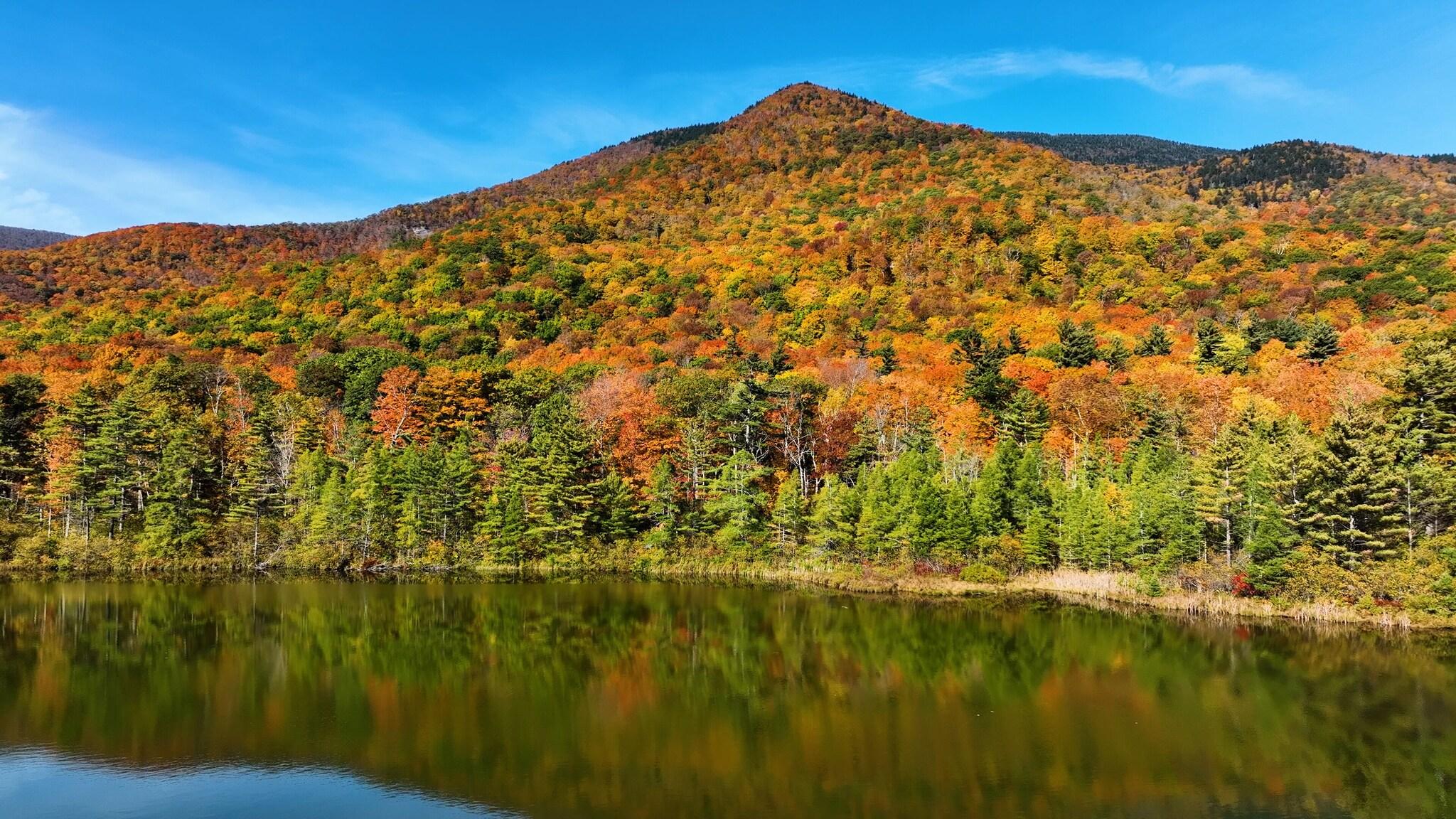 The Equinox A Luxury Collection Golf Resort & Spa Vermont 77/81
