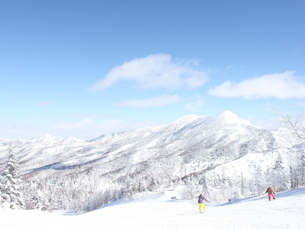 Chalet Shiga 46/50