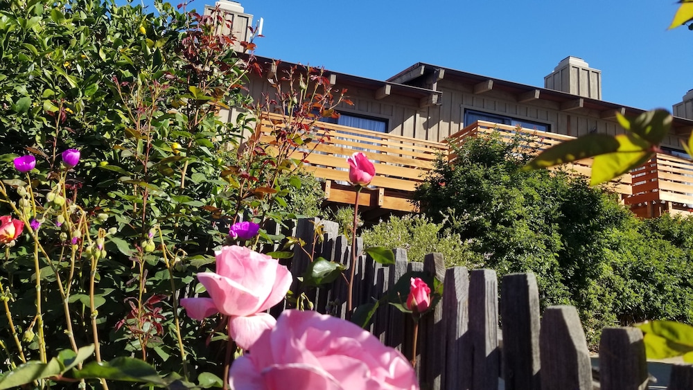 Carmel Valley Lodge And Resort 43/50