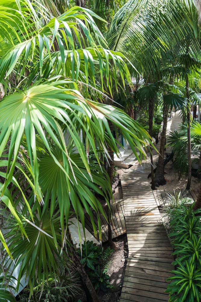 Cormoran Hotel Boutique & Cenote 30/48