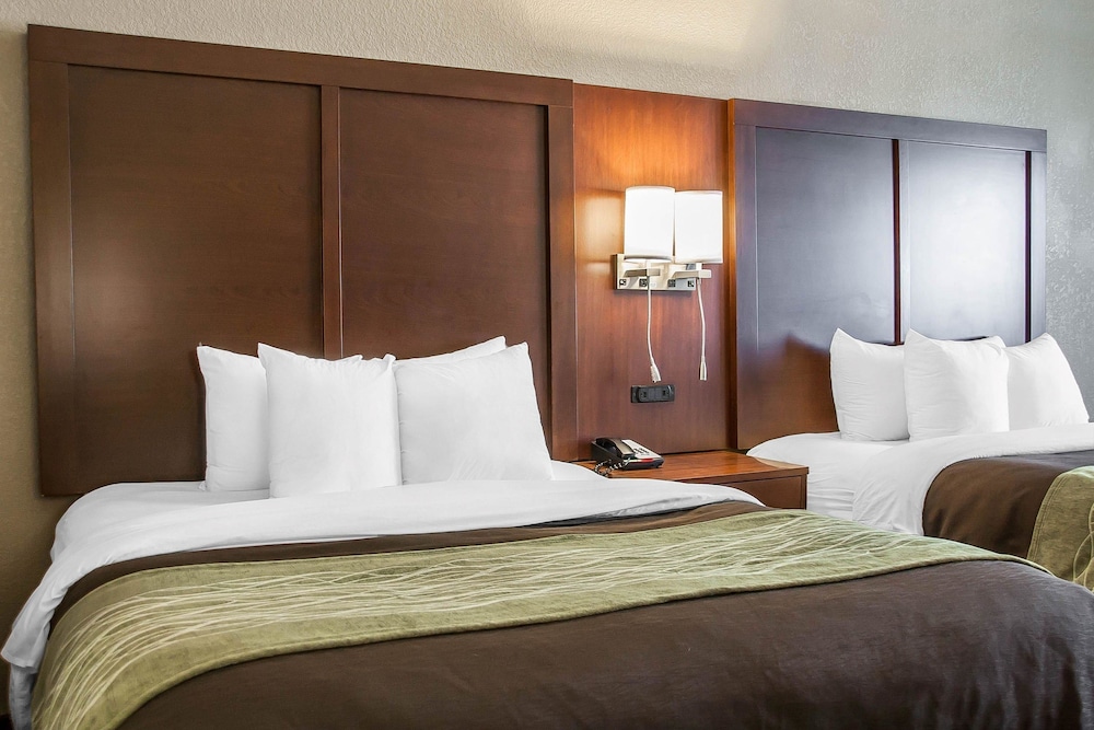 Suite, 2 Queen Beds
